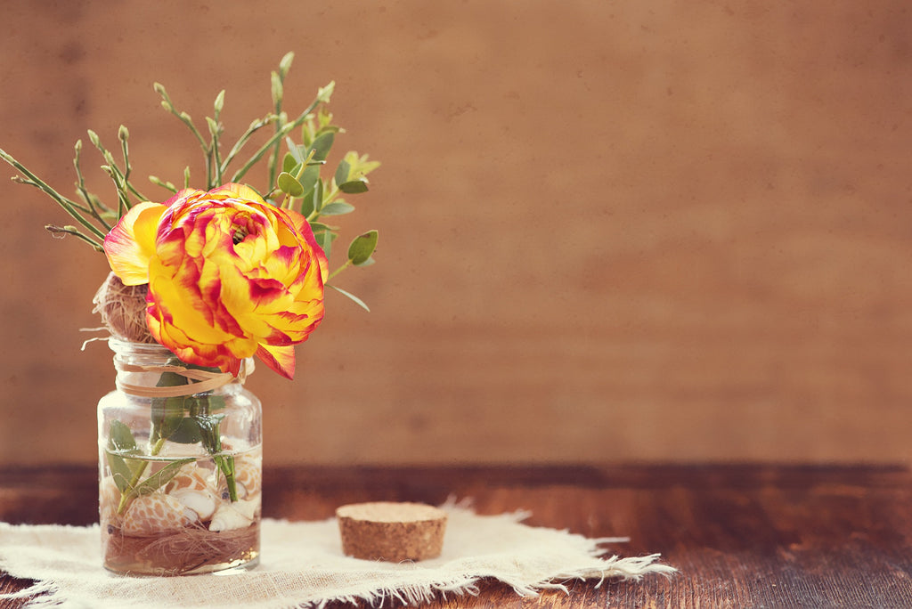 About Rose